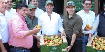 Productores de Caaguazú concretan la primera exportación de tomate a Uruguay