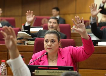 Senadores presentan pedido formal de pérdida de investidura contra Zenaida Delgado