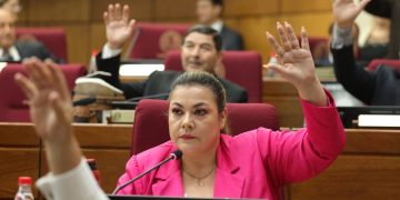 Senadores presentan pedido formal de pérdida de investidura contra Zenaida Delgado